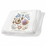 מגבת חוף לילדים