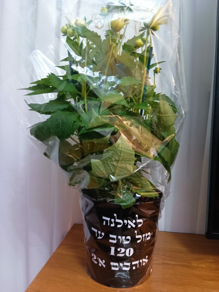 עציץ עם הקדשה