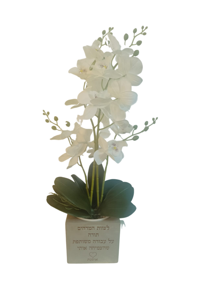 עציץ בטון בהקדשה אישית