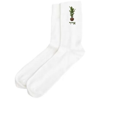 גרביים ממותגות - מידות בוגרים - תמונה נוספת