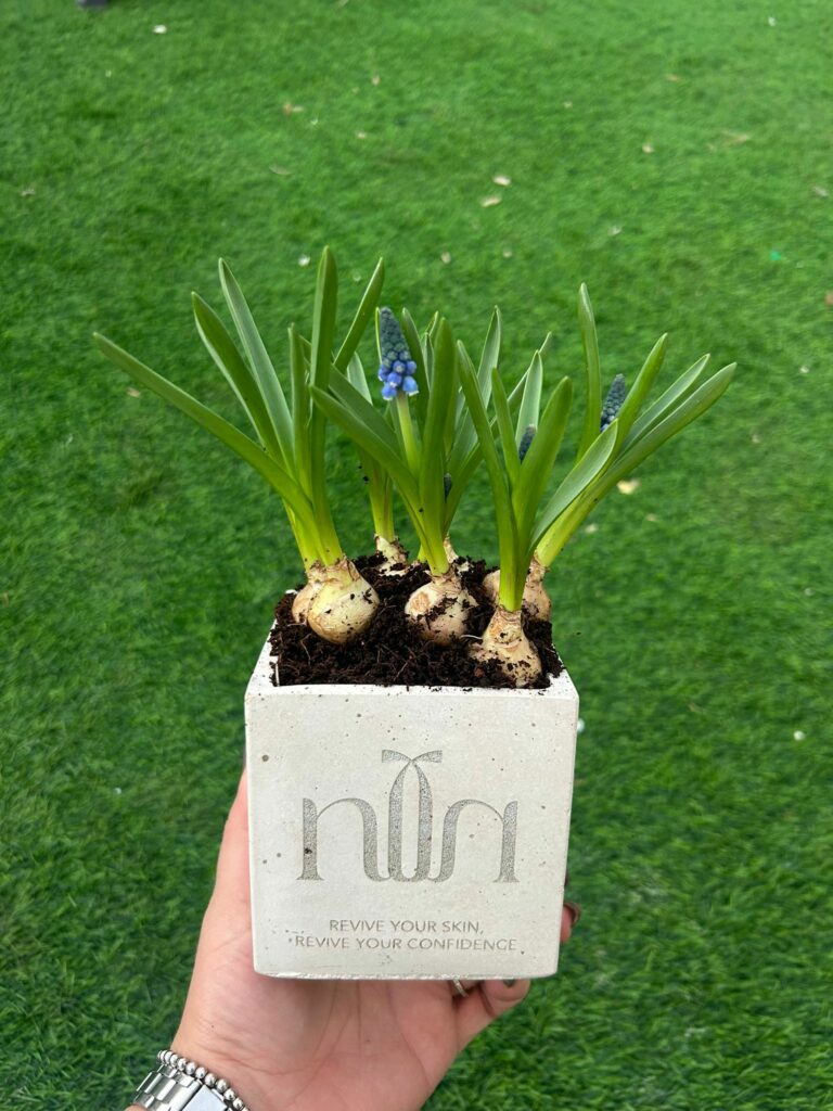 עציץ בטון פעמוני גשם