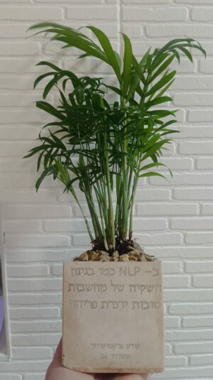 עציץ בטון