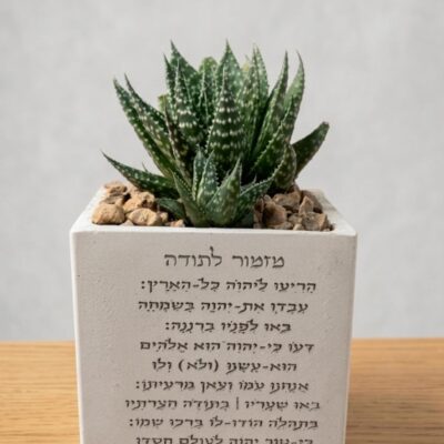 עציץ בטון מזמור לתודה