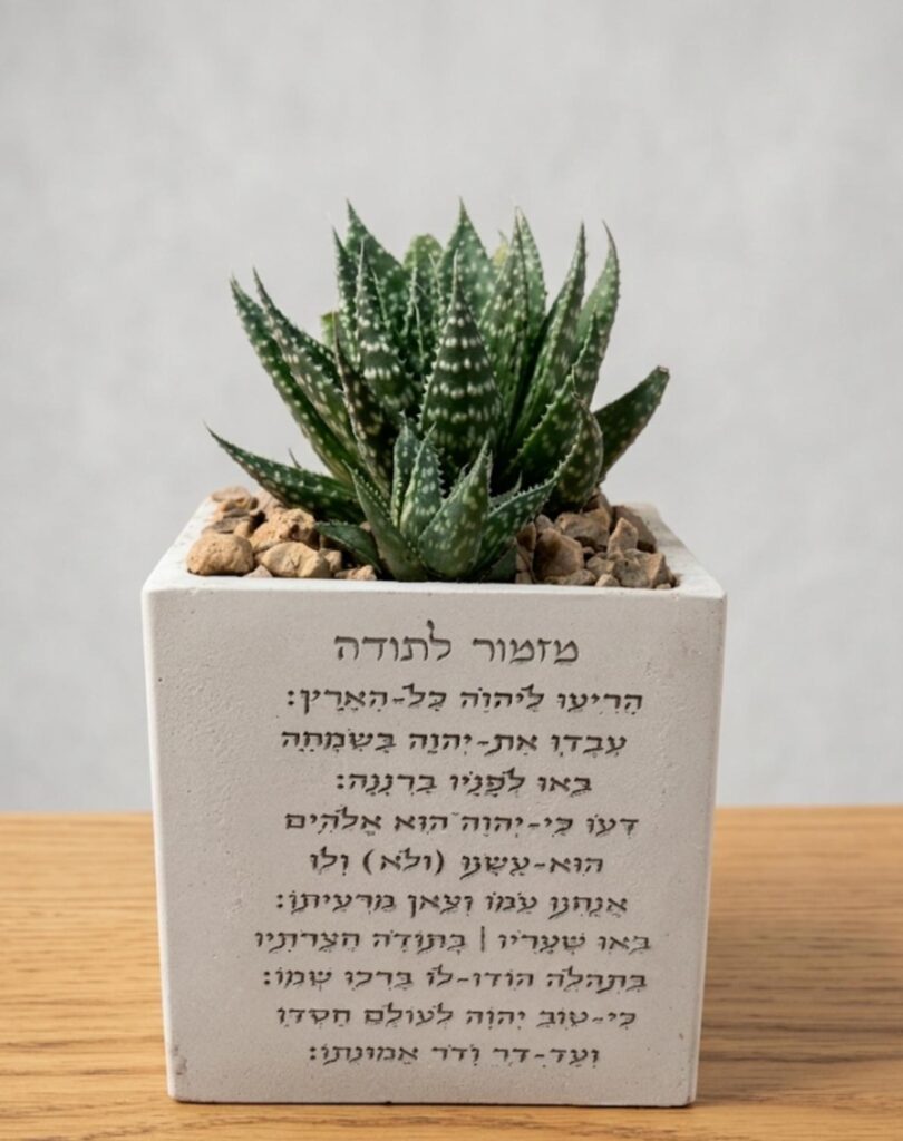 עציץ בטון מזמור לתודה