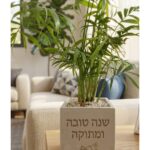 עציץ בטון דגם שנה טובה