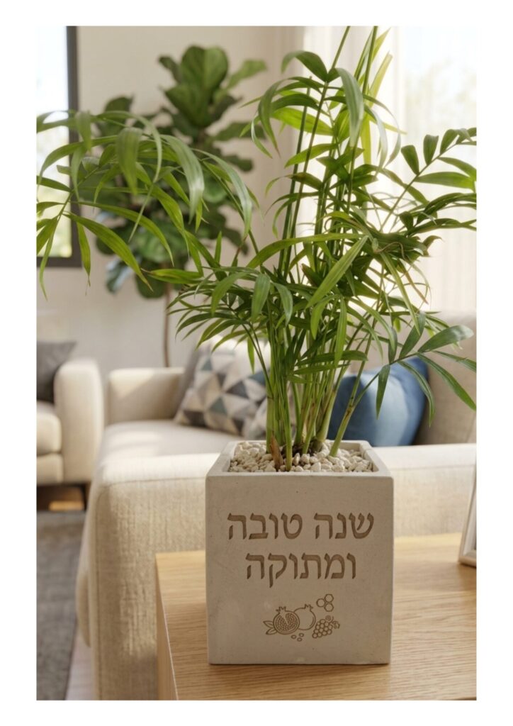 עציץ בטון דגם שנה טובה